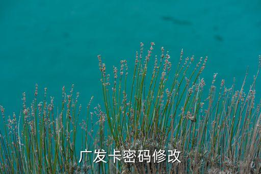 廣發(fā)卡密碼修改
