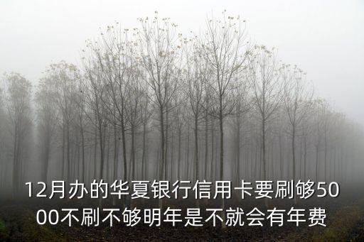 12月辦的華夏銀行信用卡要刷夠5000不刷不夠明年是不就會有年費