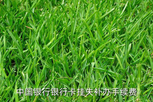 中國銀行儲蓄卡掛失多少錢，中行掛失補卡交多少錢