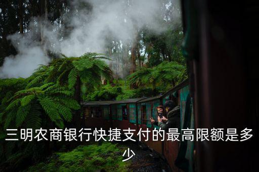 三明農(nóng)商銀行快捷支付的最高限額是多少