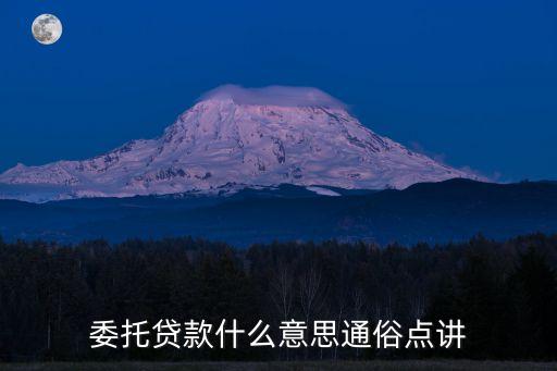 什么是委托貸款，什么是委托性貸款