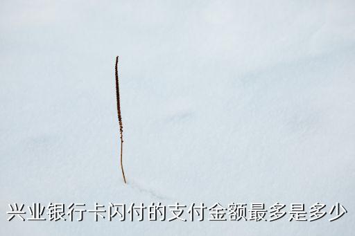 閃付一次性能支付多少錢(qián)，興業(yè)銀行卡閃付的支付金額最多是多少