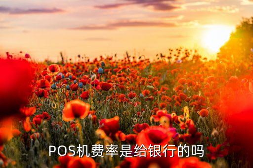 pos機(jī)簽約費(fèi)率是什么，辦理POS機(jī)是怎樣收費(fèi)的