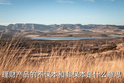 理財(cái)產(chǎn)品的不保本和非保本是什么意思