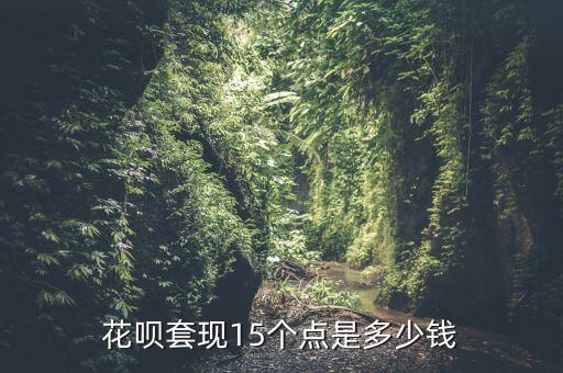 花唄套現(xiàn)15個點(diǎn)是多少錢