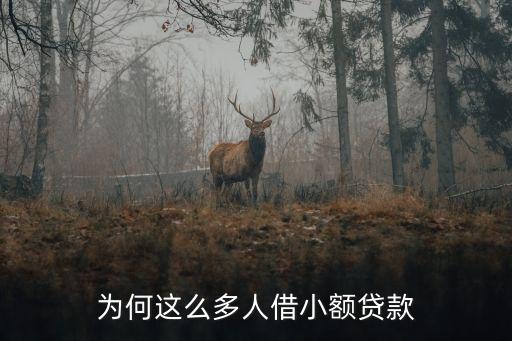 為何這么多人借小額貸款