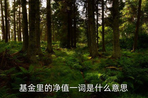 基金里的凈值一詞是什么意思