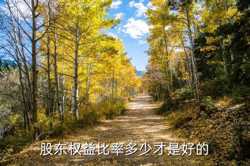 股東權(quán)益比率多少才是好的