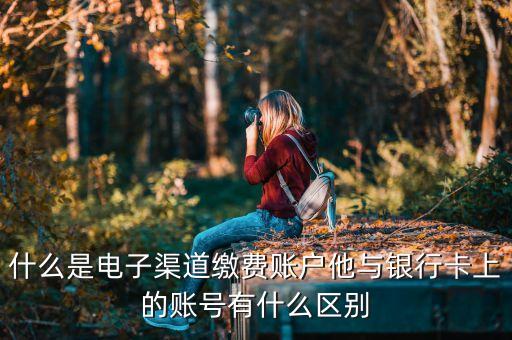 什么是電子渠道繳費賬戶他與銀行卡上的賬號有什么區(qū)別