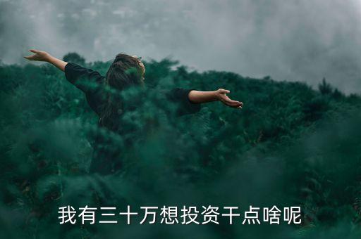 我有三十萬想投資干點(diǎn)啥呢