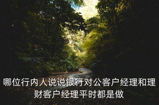 哪位行內(nèi)人說說銀行對公客戶經(jīng)理和理財客戶經(jīng)理平時都是做