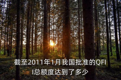截至2011年1月我國批準的QFII總額度達到了多少