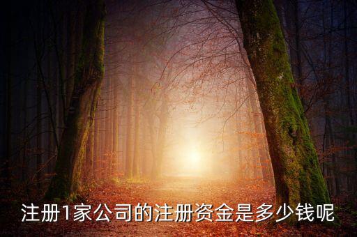 你財富注冊資金是多少，注冊1家公司的注冊資金是多少錢呢