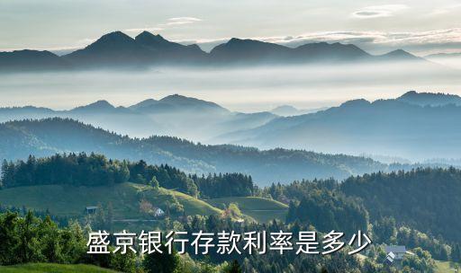 盛京寶利率是多少，盛京銀行一年利息是多少