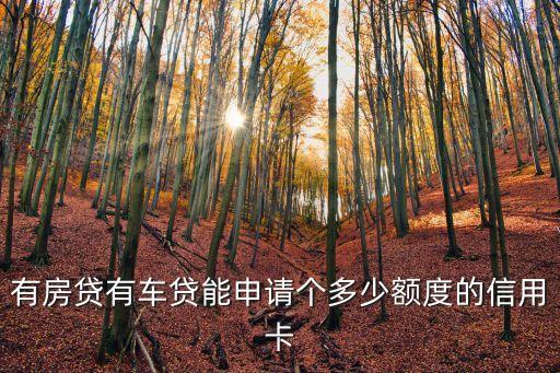 有房貸有車貸能申請個多少額度的信用卡