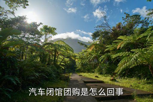 汽車閉館團購是怎么回事