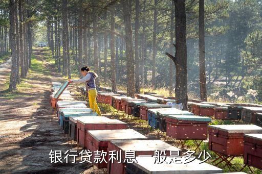 銀行貸款利息一般是多少