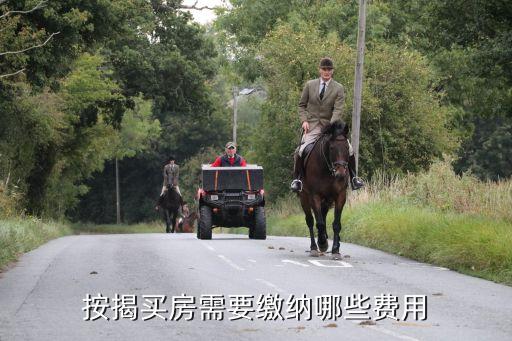 第一次按揭買房需要什么費用，請問按揭買房買房時要付那些費用交房時要付那些費用謝謝  搜