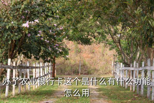 辦了農(nóng)業(yè)銀行卡這個(gè)是什么有什么功能怎么用