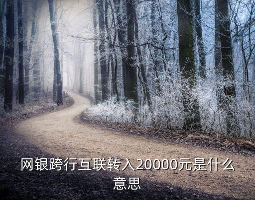 網(wǎng)銀跨行互聯(lián)轉(zhuǎn)入20000元是什么意思