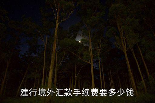 建行境外匯款手續(xù)費(fèi)要多少錢