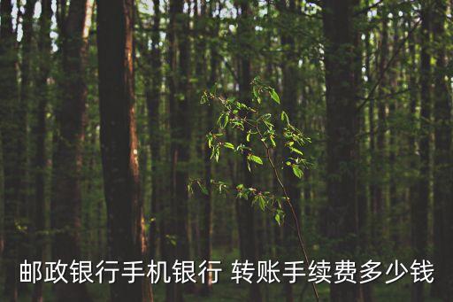 郵政銀行手機(jī)銀行 轉(zhuǎn)賬手續(xù)費(fèi)多少錢