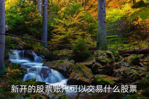 新開的股票賬戶可以交易什么股票