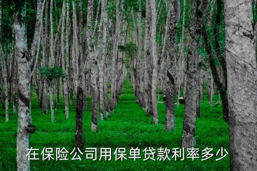 保單貸款利息是多少，保單貸款利息多少