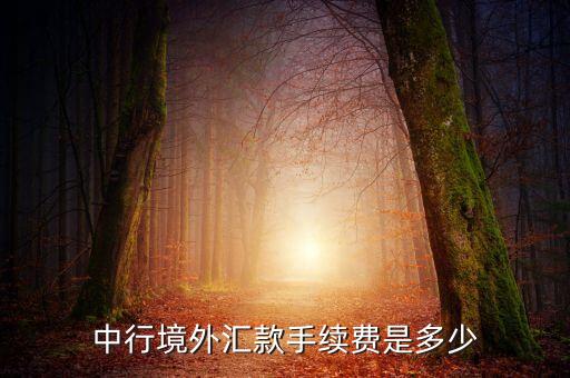 中行境外匯款手續(xù)費是多少