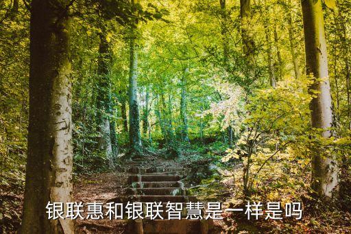銀聯(lián)惠和銀聯(lián)智慧是一樣是嗎