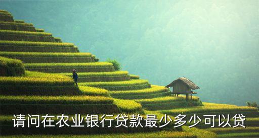 請問在農(nóng)業(yè)銀行貸款最少多少可以貸