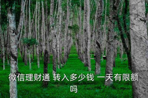 理財(cái)通一天放多少錢(qián)，微信理財(cái)通每天能買多少