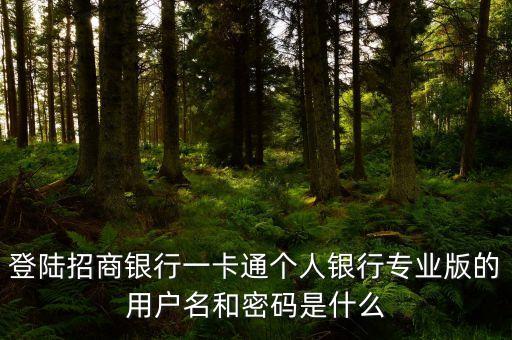 登陸招商銀行一卡通個(gè)人銀行專業(yè)版的用戶名和密碼是什么