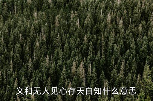 義和無(wú)人見(jiàn)心存天自知什么意思