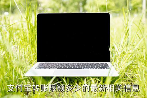 支付寶轉(zhuǎn)出單筆限額是多少，支付寶轉(zhuǎn)賬限額多少的最新相關(guān)信息