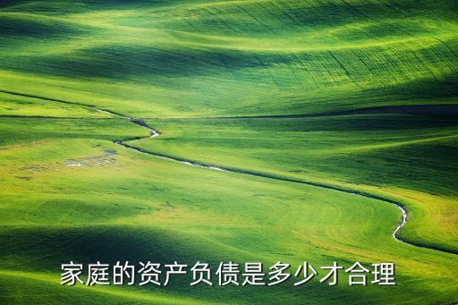 家庭的資產(chǎn)負(fù)債是多少才合理