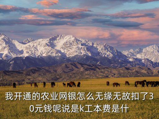 我開通的農(nóng)業(yè)網(wǎng)銀怎么無緣無故扣了30元錢呢說是k工本費是什