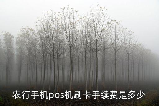 農(nóng)行手機pos機刷卡手續(xù)費是多少