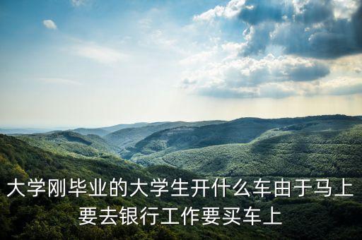 大學剛畢業(yè)的大學生開什么車由于馬上要去銀行工作要買車上
