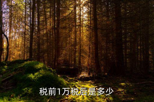 工資稅前一萬稅后多少錢，稅前1萬稅后是多少