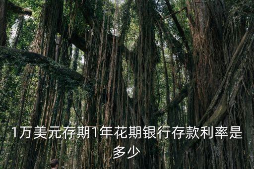 1萬美元存期1年花期銀行存款利率是多少
