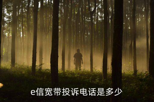 e信寬帶投訴電話是多少