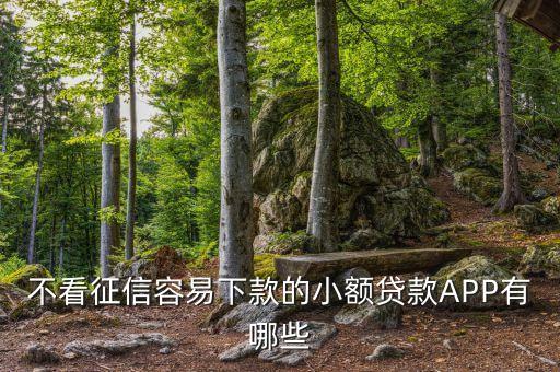 什么小額貸款好辦，有什么手機(jī)APP可以小額貸款