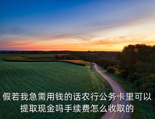 假若我急需用錢的話農(nóng)行公務(wù)卡里可以提取現(xiàn)金嗎手續(xù)費(fèi)怎么收取的