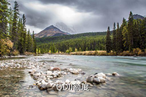 qdii額度有多少，QDII額度