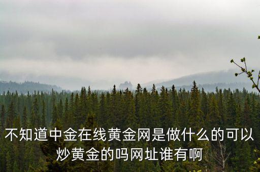 不知道中金在線黃金網(wǎng)是做什么的可以炒黃金的嗎網(wǎng)址誰有啊