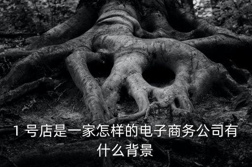 1 號(hào)店是一家怎樣的電子商務(wù)公司有什么背景