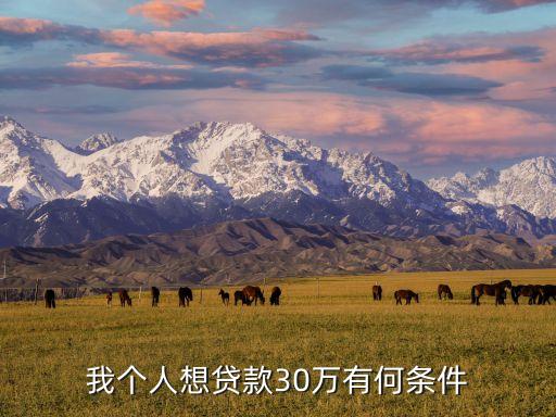 我想在懷化代款30萬需要什么要求，湖南省懷化市城鎮(zhèn)貸款需要什么條件