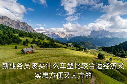 新業(yè)務員該買什么車型比較合適經(jīng)濟又實惠方便又大方的