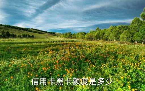 農(nóng)業(yè)銀行的黑色信用卡額度是多少，農(nóng)業(yè)信用卡額度是多少